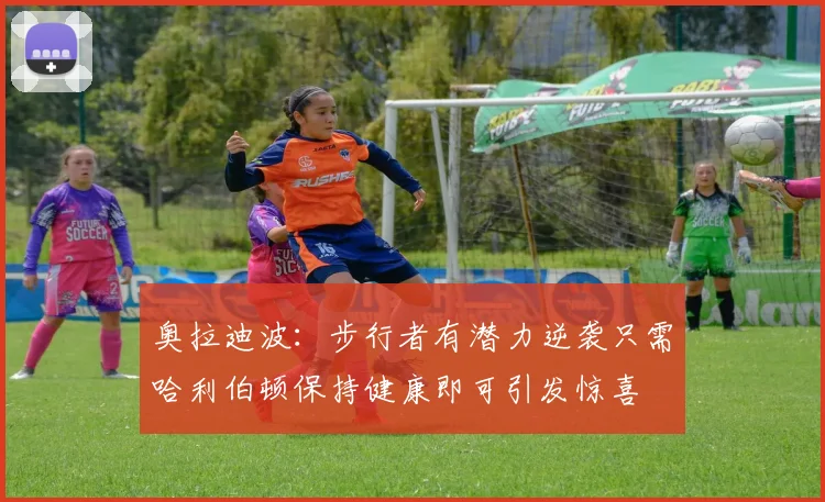 奥拉迪波：步行者有潜力逆袭只需哈利伯顿保持健康即可引发惊喜